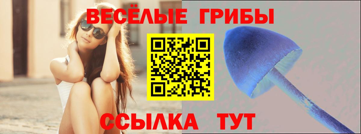 Орехово-Зуево  Псилоцибиновые грибы ЛСД  Вход с VPN 